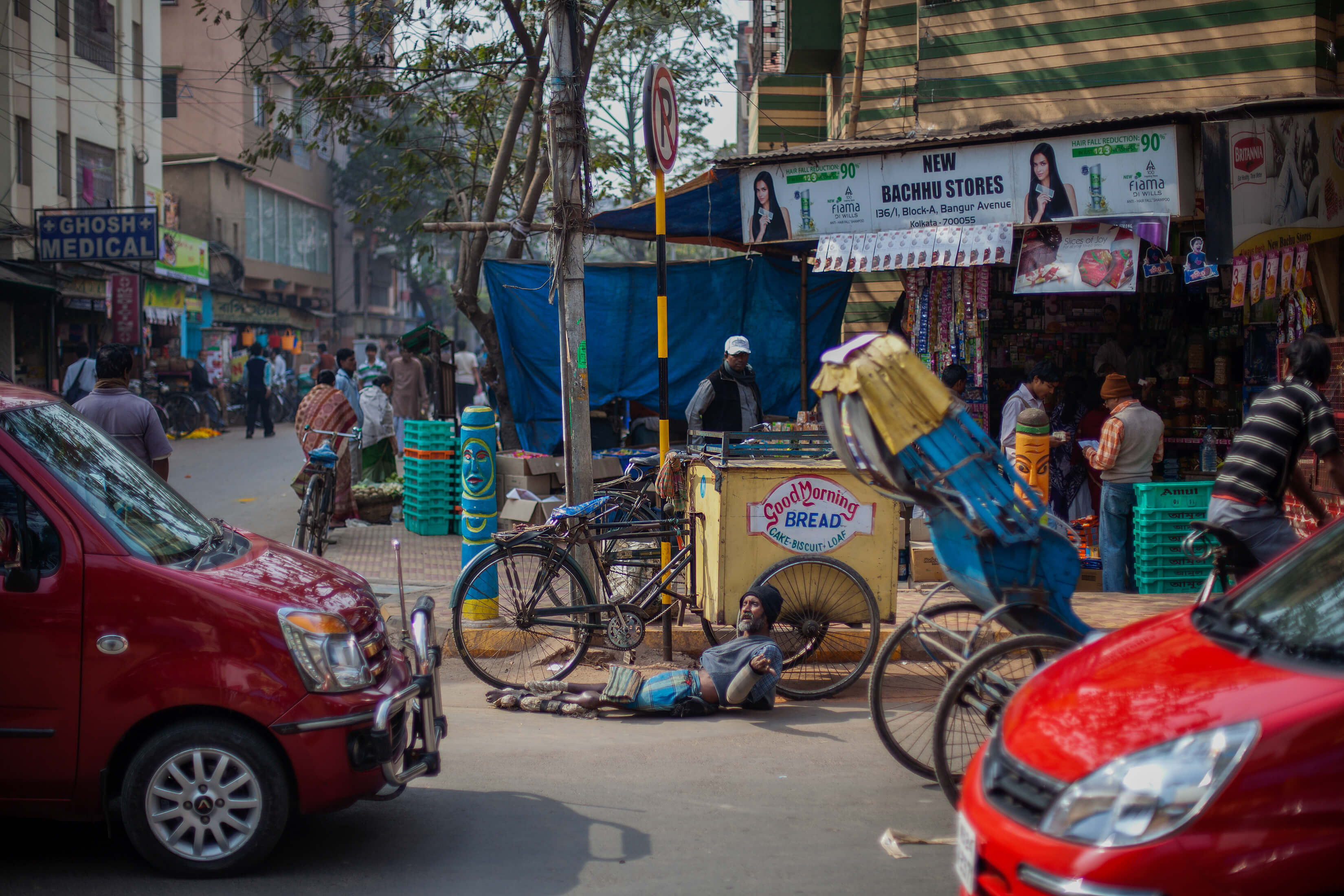 IndiaSubcontinent-Website-RajahBose-012
